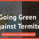 Going Green Against Termites: Effective Natural Control Methods for a Sustainable Approach