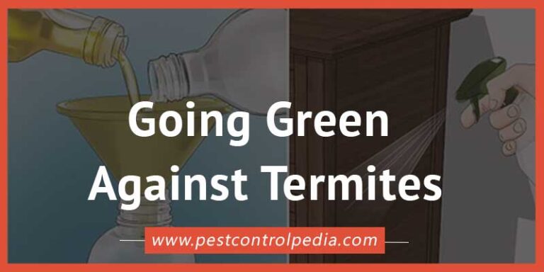Read more about the article Going Green Against Termites: Effective Natural Control Methods for a Sustainable Approach