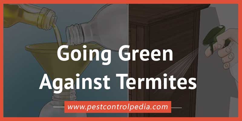 You are currently viewing Going Green Against Termites: Effective Natural Control Methods for a Sustainable Approach