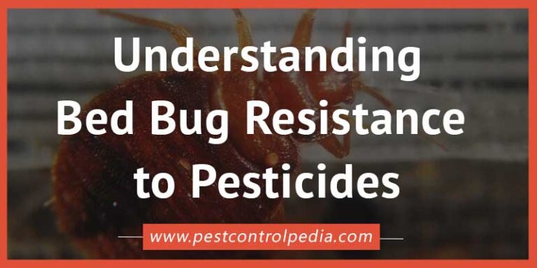 Read more about the article The Evolving Enemy: Understanding Bed Bug Resistance to Pesticides