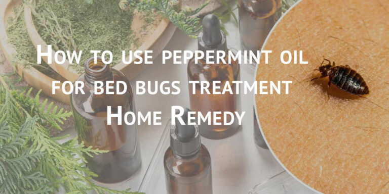 Read more about the article How to use peppermint oil for bed bugs treatment? Home Remedy