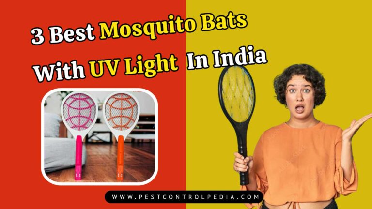 Read more about the article 3 Best Mosquito Bats With UV Light in India