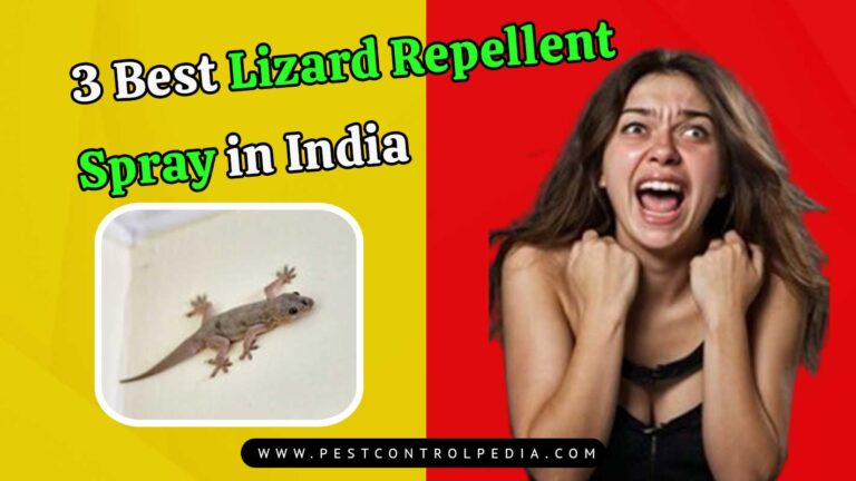 Read more about the article 3 Best Lizard Killer Spray in India