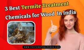 3 Best Termite Treatment Chemicals for Wood In India