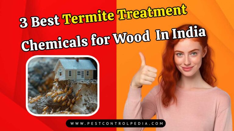 Read more about the article 3 Best Termite Treatment Chemicals for Wood In India