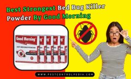 Best Strongest Bed Bug Killer Powder By Good Morning