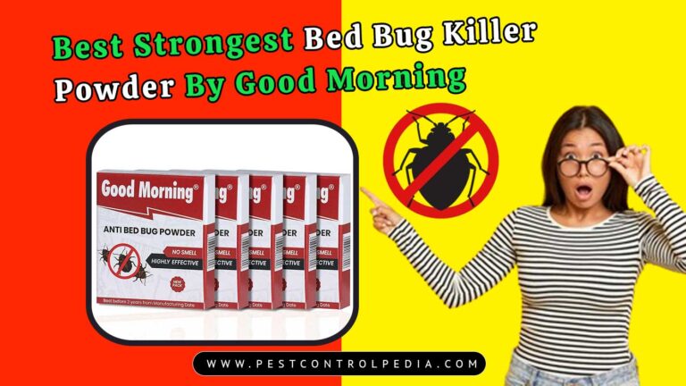 Read more about the article Best Strongest Bed Bug Killer Powder By Good Morning