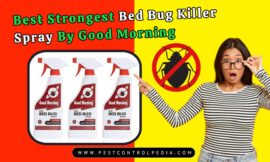 Best Strongest Bed Bug Killer Spray By Good Morning