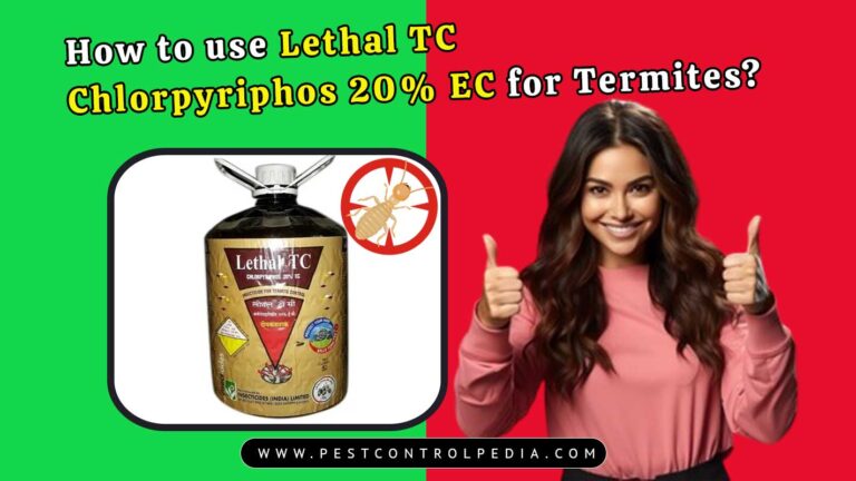 Read more about the article How to use Lethal TC Chlorpyriphos 20% EC for Termites?