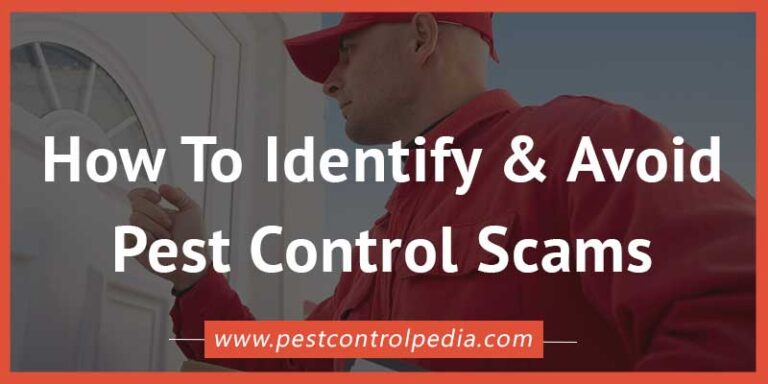 Read more about the article Pest Control Scams – How to identify and avoid them