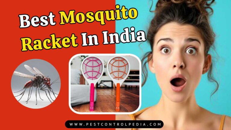 Read more about the article Which Mosquito Racket Is Best In India?