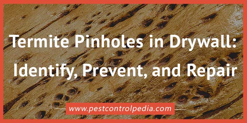 You are currently viewing Termite Pinholes in Drywall: Identify, Prevent, and Repair