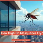 How High Do Mosquitoes Fly? Flying Ability Exposed