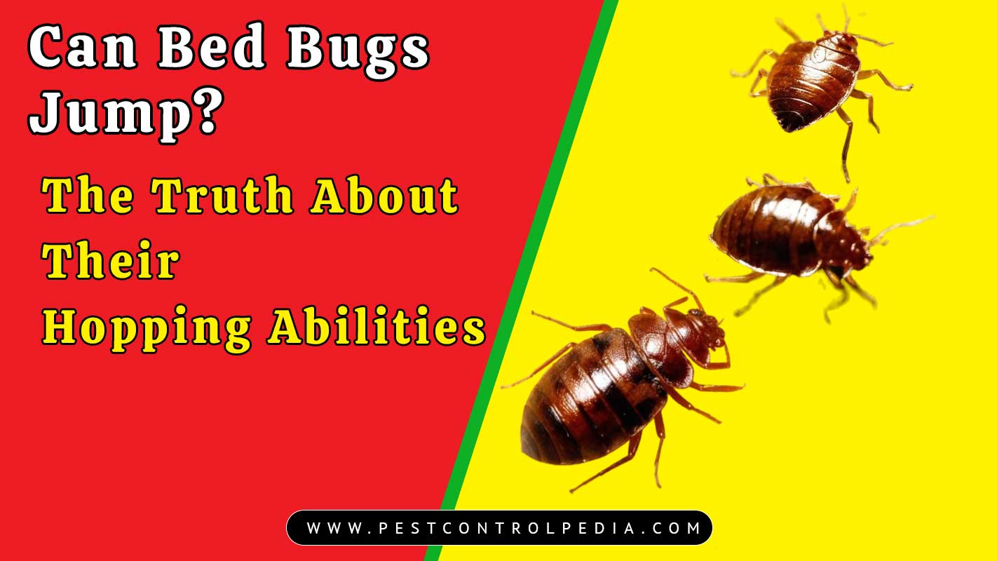 You are currently viewing Can Bed Bugs Jump? The Truth About Their Hopping Abilities