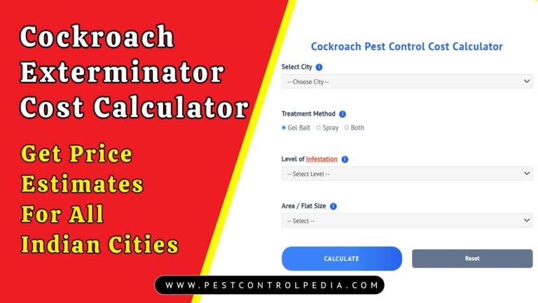 Read more about the article Cockroach Exterminator Cost Calculator | Price Estimates
