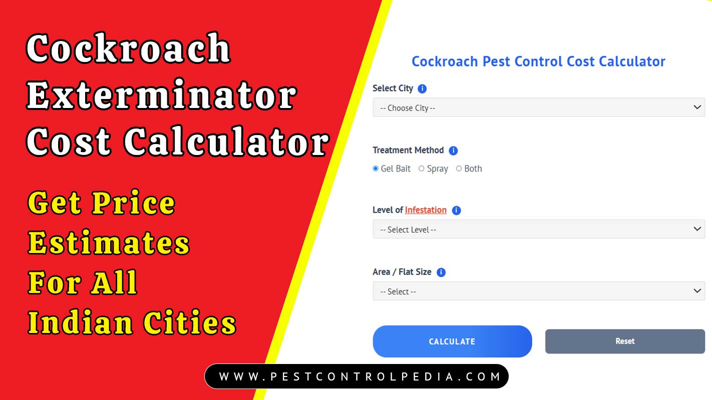 You are currently viewing Cockroach Exterminator Cost Calculator | Price Estimates