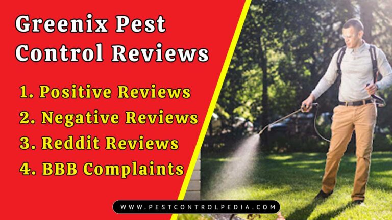 Read more about the article Greenix Pest Control Reviews: Real Customer Experiences