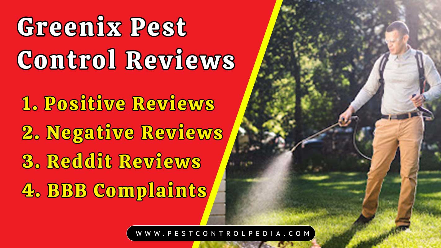 You are currently viewing Greenix Pest Control Reviews: Real Customer Experiences
