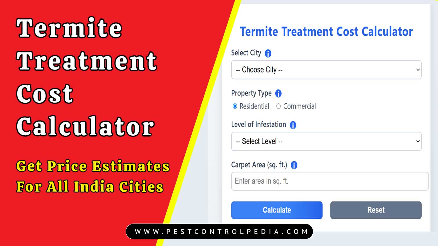 You are currently viewing Termite Treatment Cost Calculator | Citywise Cost Estimator